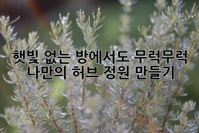 햇빛 없는 방에서도 무럭무럭! 나만의 허브 정원 만들기🌿