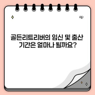 골든리트리버 출산: 건강한 엄마와 아기 위한 완벽 가이드