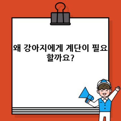 강아지 계단 오르기: 척추 건강과 안전을 위한 완벽 가이드