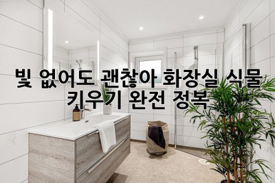 빛 없어도 괜찮아! 화장실 식물 키우기 완전 정복🌿