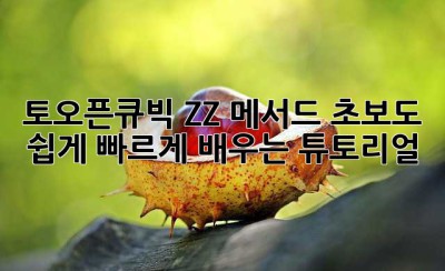 토오픈큐빅 ZZ 메서드, 초보도 쉽게! 빠르게 배우는 튜토리얼