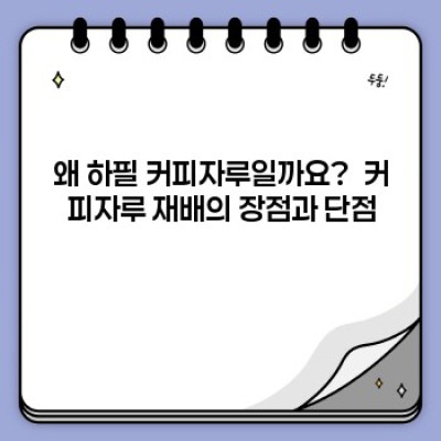커피자루에서 감자 풍년! 성공적인 감자 재배 가이드: 재료부터 수확까지 완벽 정복