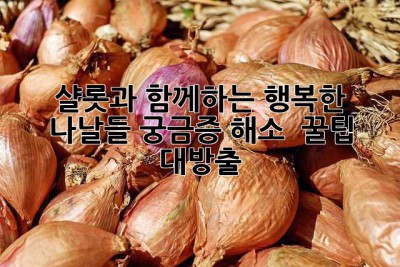 샬롯과 함께하는 행복한 나날들: 궁금증 해소 & 꿀팁 대방출!