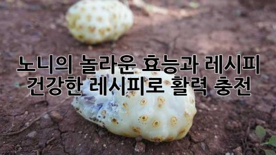 노니의 놀라운 효능과 레시피: 건강한 레시피로 활력 충전!