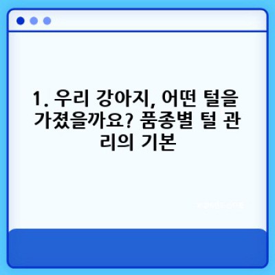 강아지 털 관리 완벽 가이드: 품종별, 계절별 맞춤 관리법과 흔한 문제 해결