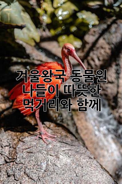 겨울왕국 동물원 나들이: 따뜻한 먹거리와 함께!