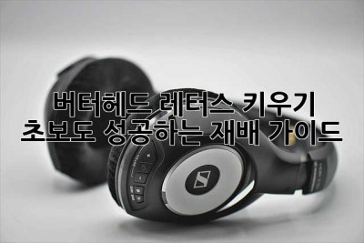 버터헤드 레터스 키우기: 초보도 성공하는 재배 가이드!