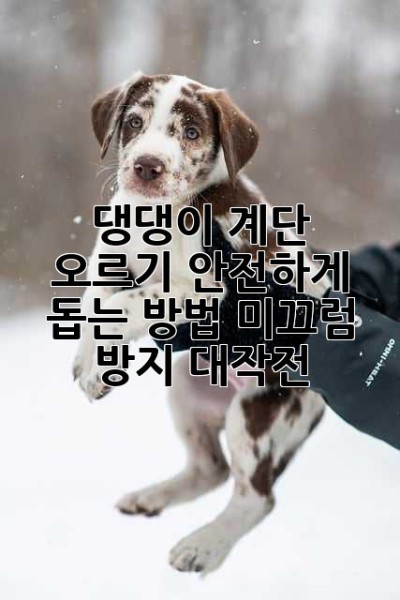 댕댕이 계단 오르기, 안전하게 돕는 방법! 미끄럼 방지 대작전!