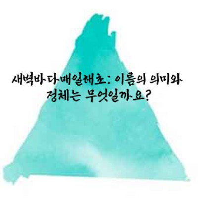 새벽바다매일해초: 건강과 미용의 새로운 가능성
