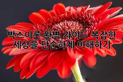 박스이론 완벽 가이드: 복잡한 세상을 단순하게 이해하기