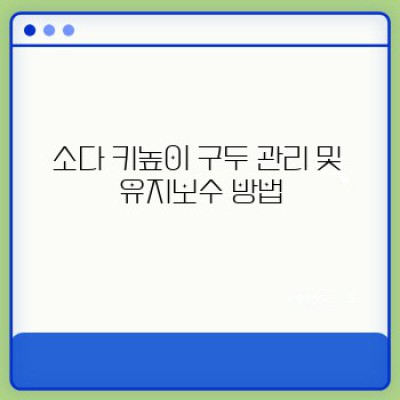 소다 키높이 구두: 당신의 자신감을 높여줄 스타일리시한 선택