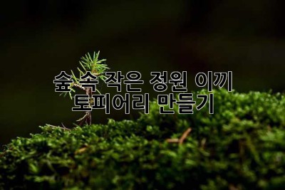 숲 속 작은 정원, 이끼 토피어리 만들기🌿