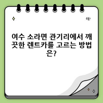 전라남도 여수시 소라면 관기리 렌트카 청결 상태 완벽 가이드: 예약 전 꼭 확인하세요!