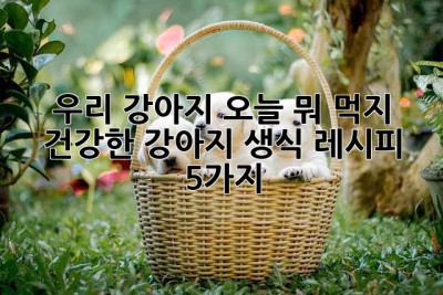 우리 강아지, 오늘 뭐 먹지? 🐶 건강한 강아지 생식 레시피 5가지!
