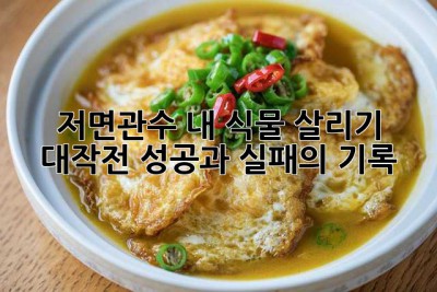 저면관수, 내 식물 살리기 대작전! 성공과 실패의 기록