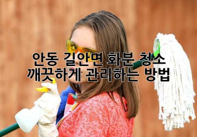 안동 길안면 화분 청소, 깨끗하게 관리하는 방법!