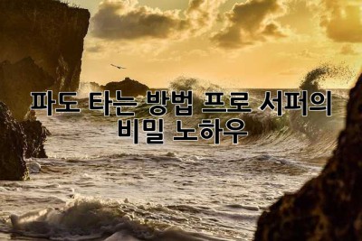 파도 타는 방법: 프로 서퍼의 비밀 노하우
