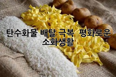탄수화물🍚: 배탈 극복 & 평화로운 소화생활🧘‍♀️