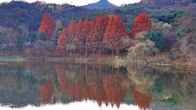 위례과천선004.jpg