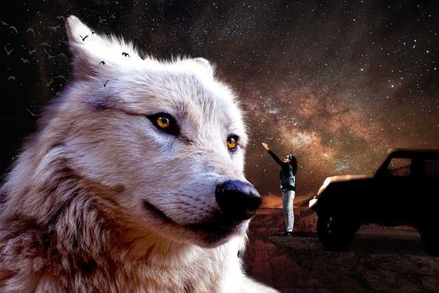 지프랭글러튜닝002.jpg